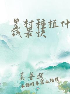 农村种植什么赚钱最快
