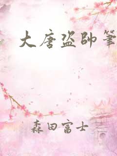 大唐盗帅笔趣阁