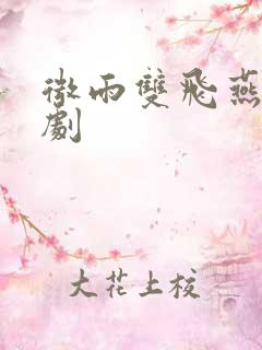 微雨双飞燕电视剧