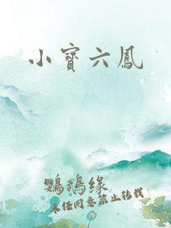 小宝六凤