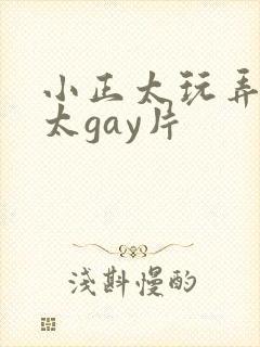 小正太玩弄小正太gay片