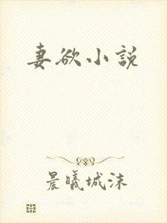 妻欲小说