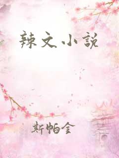 辣文小说