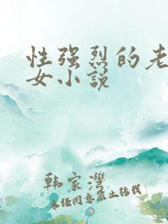 性强烈的老年妇女小说