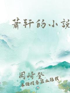 萧轩的小说