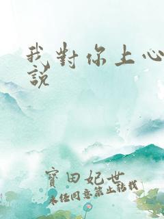 我对你上心了小说