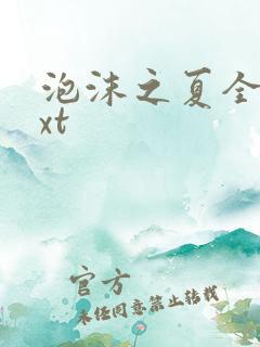 泡沫之夏全集txt