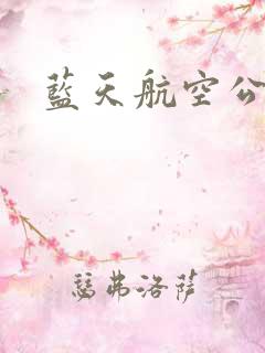 蓝天航空公司