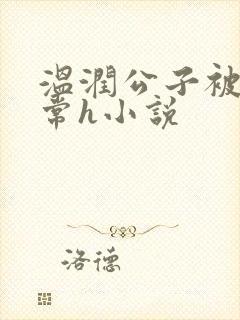温润公子被脔日常h小说