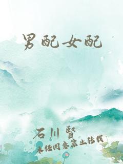 男配女配