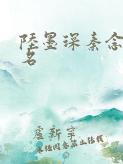 陆墨琛秦念小说名