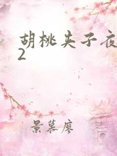 胡桃夹子夜未眠2