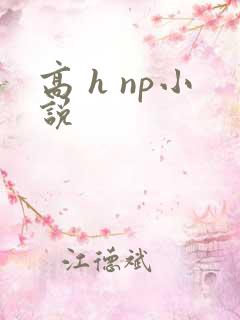 高 h np小说