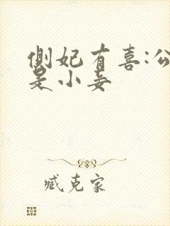 侧妃有喜:公主是小妾