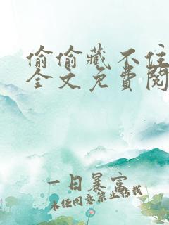 偷偷藏不住小说全文免费阅读笔趣阁