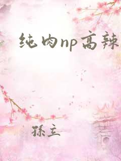 纯肉np高辣文