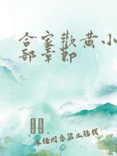 合家欢黄小梅全部章节