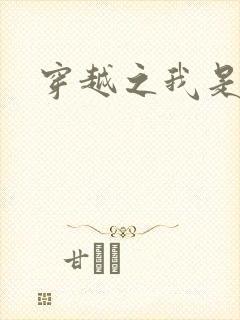 穿越之我是华筝