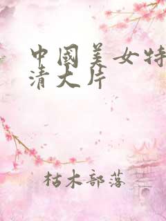 中国美女特黄高清大片