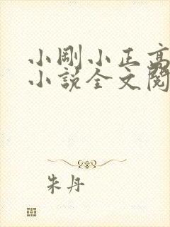 小刚小正高筱柔小说全文阅读目录