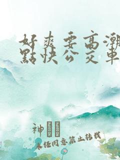 好爽要高潮了深点快公交车