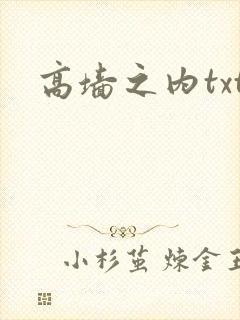 高墙之内txt