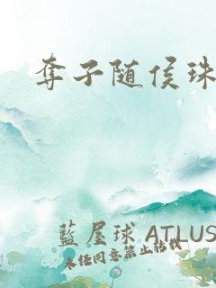 夺子随侯珠