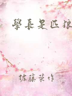 学长是匹狼