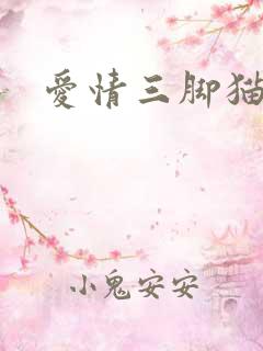 爱情三脚猫