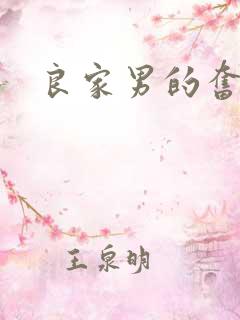 良家男的奋斗史