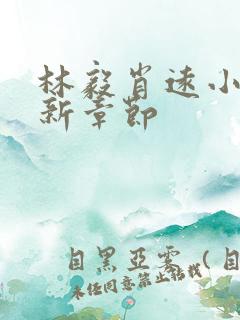 林毅肖远小说最新章节
