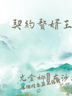 契约赘婿王羽