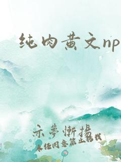 纯肉黄文np