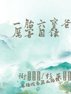 一胎六宝爸比好厉害目录