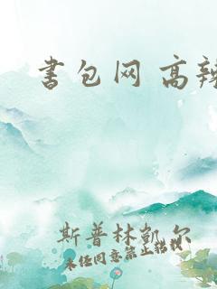 书包网 高辣文