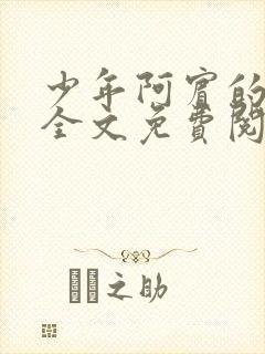 少年阿宾的故事全文免费阅读