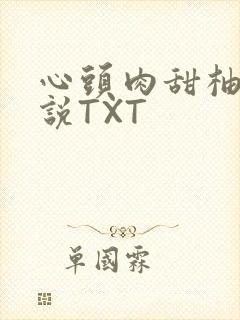 心头肉甜柚子小说TXT