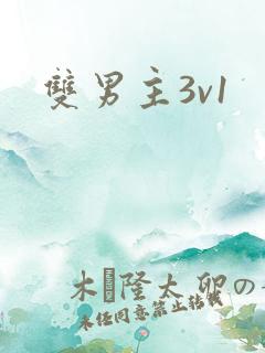 双男主3v1