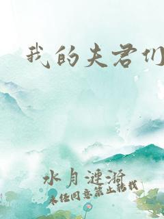 我的夫君们