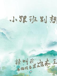 小跟班别想溜