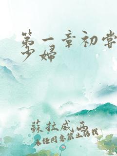 第一章初尝极品少妇