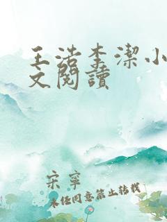 王浩李洁小说全文阅读