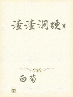 渣渣洞硬x