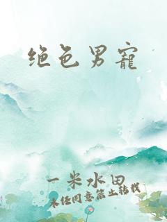 绝色男宠