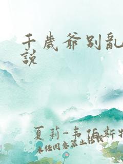 千岁爷别乱来小说