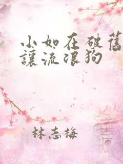 小如在破旧仓库让流浪狗