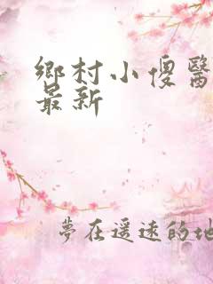 乡村小傻医小说最新