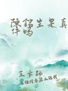 陈铭生是真实事件吗