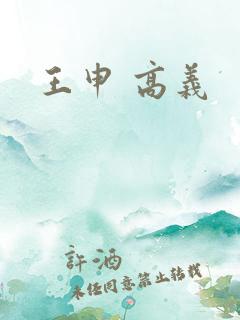 王申 高义