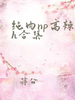 纯肉np高辣文h合集